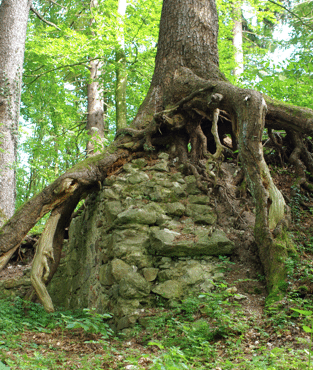 Burgruine Ki&szlig;legg